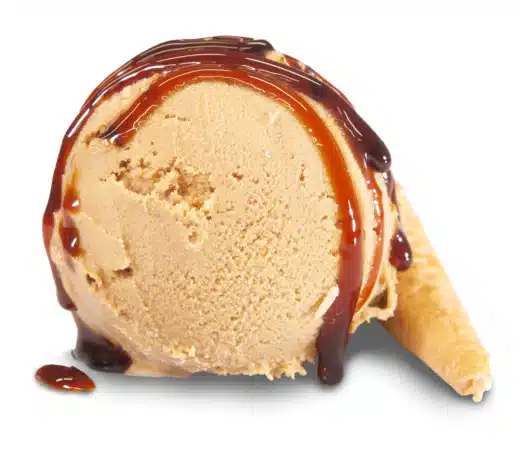 Sabor helado premium 10