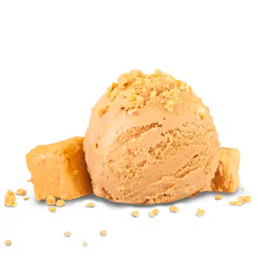 Sabor helado premium 15